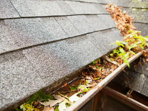 Roofing in San Antonio: Three Fall Maintenance Tips from a Roofing Repair Expert