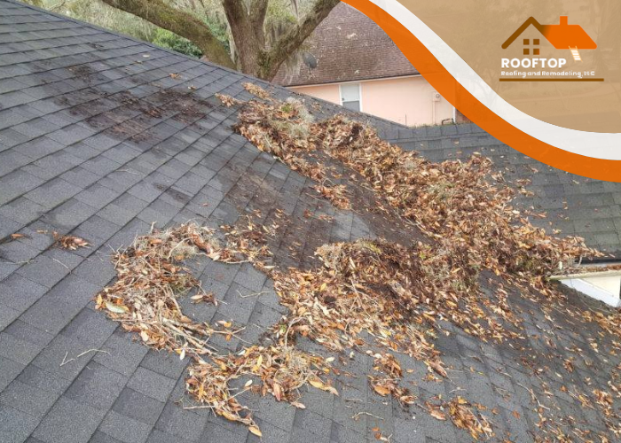 roofer in san antonio