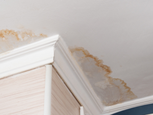 Roof leak in Converse TX