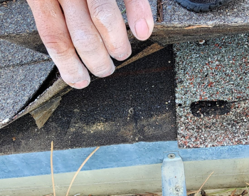 Rooftop Roofing and Remodeling team cleaning gutters and removing debris.