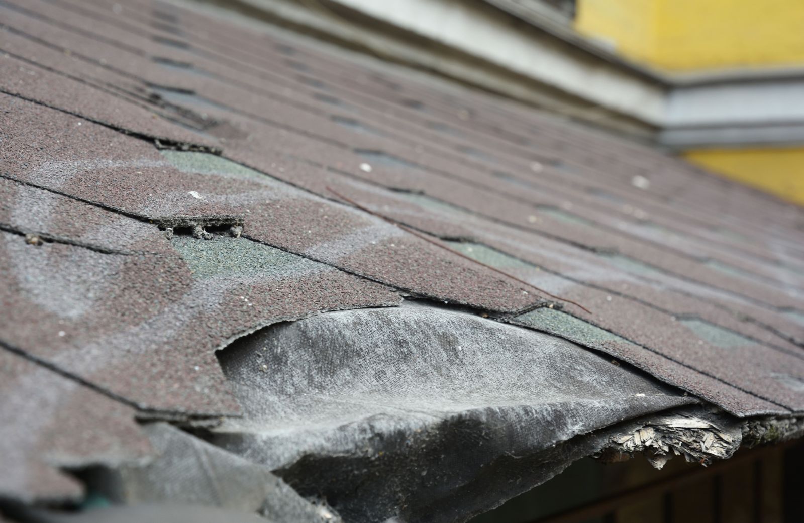 Rooftop Roofing and Remodeling Images